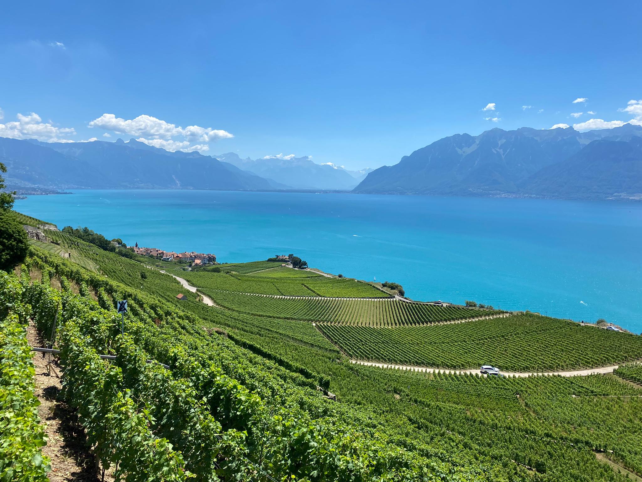 les vignobles du Lavaux patrimoine UNESCO